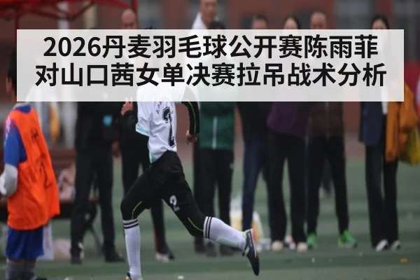 2026丹麦羽毛球公开赛陈雨菲对山口茜女单决赛拉吊战术分析（kaiyun）