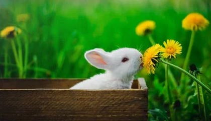 开云体育下载-视频 | 直击U23亚洲杯国足决赛前最后一练：队内氛围轻松